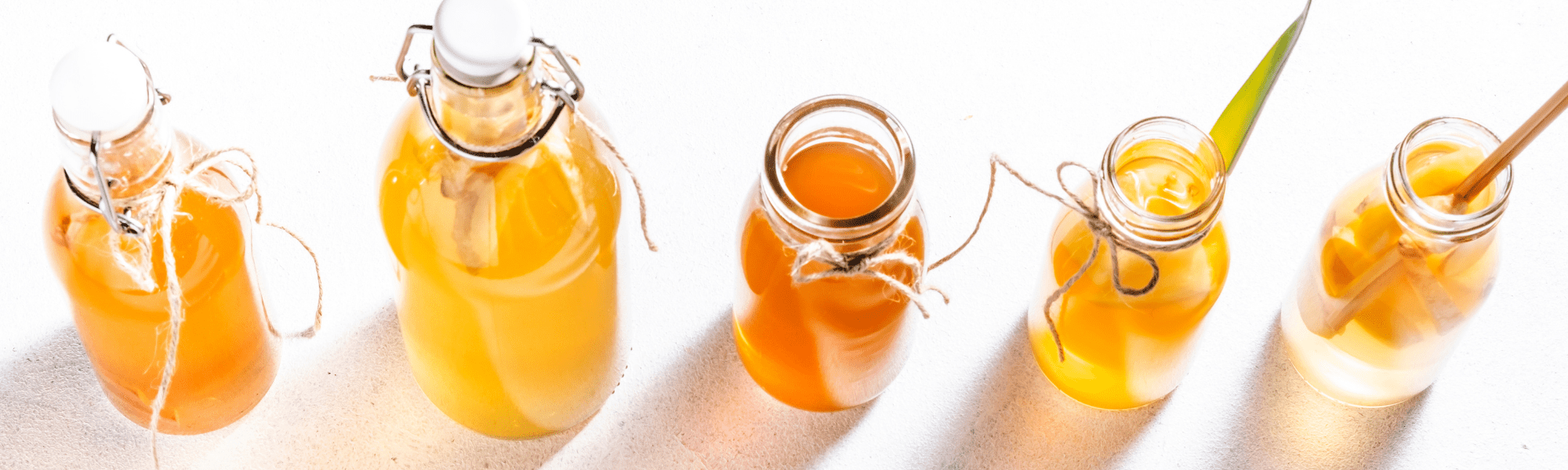 kombucha powder gut health ingredient