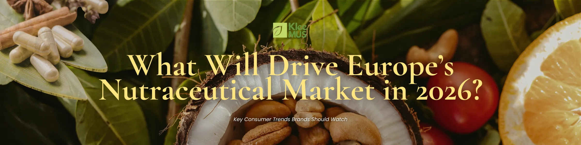 Nutraceutical ingredients with capsules, fruits, and herbs surrounding a coconut shell, illustrating trends in Europe’s nutraceutical market for 2026.