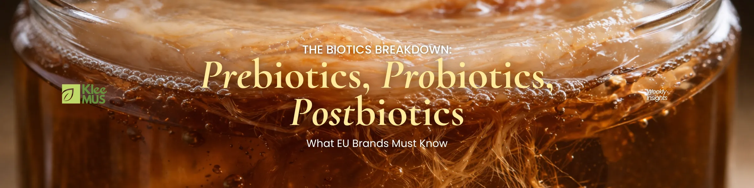 Prebiotics probiotics postbiotics comparison Europe cover with kombucha fermentation close-up and text ‘What EU brands must know’