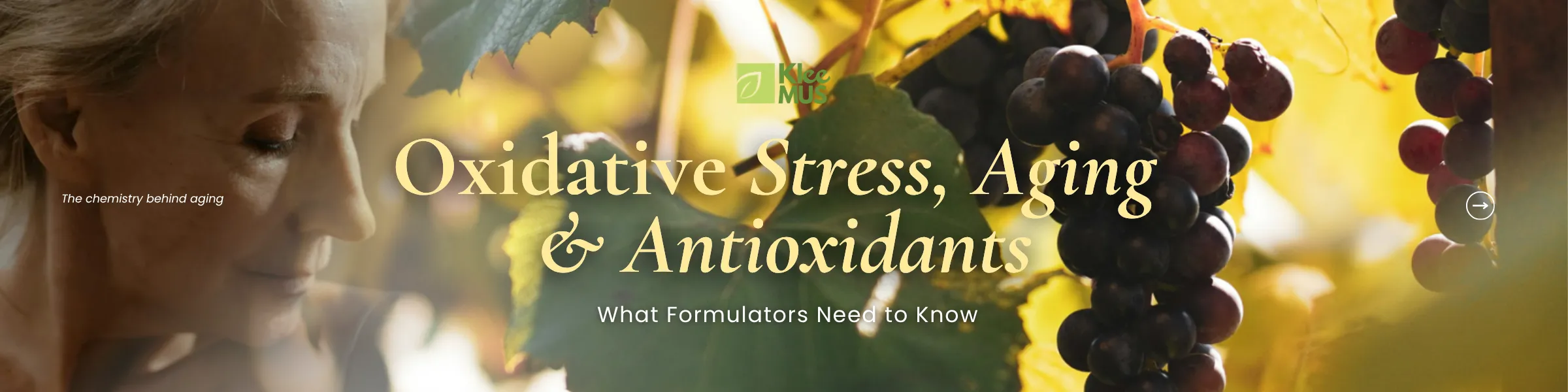 Oxidative stress and aging with antioxidants and grapes representing polyphenols in nutraceutical formulations